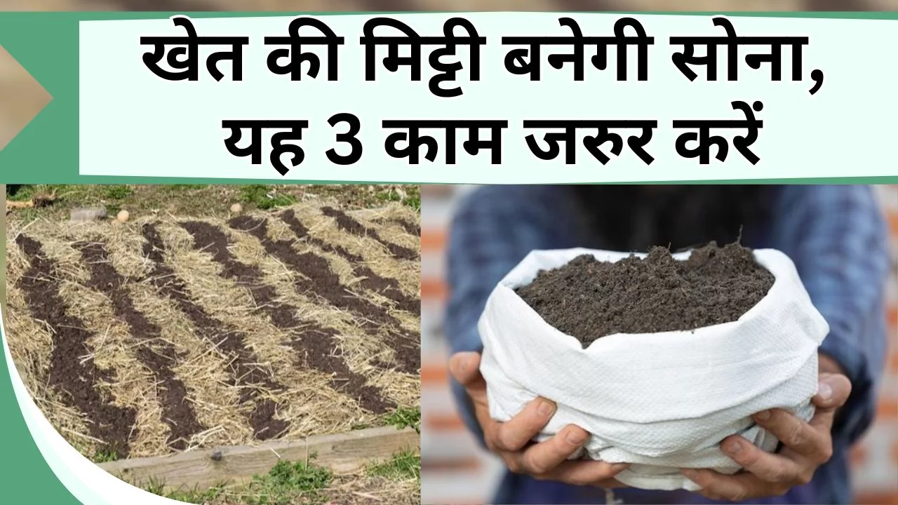 खेत की मिट्टी को सोना बना देंगे ये 3 काम, मिट्टी होगी उपजाऊ, फसल होगी दुरुस्त