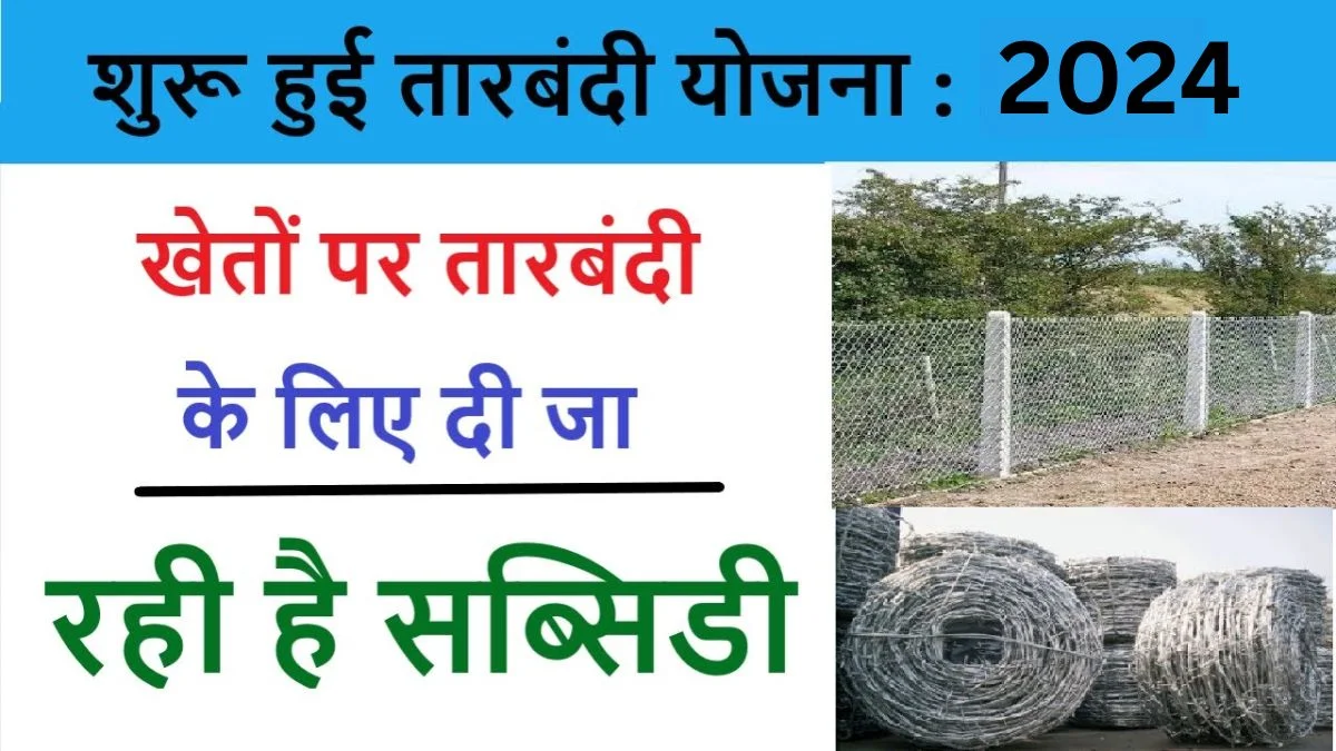 अब फसल बर्बाद नहीं करेंगे आवारा पशु, तारबंदी के लिए सरकार दे रही सब्सिडी, ऐसे करे आवेदन