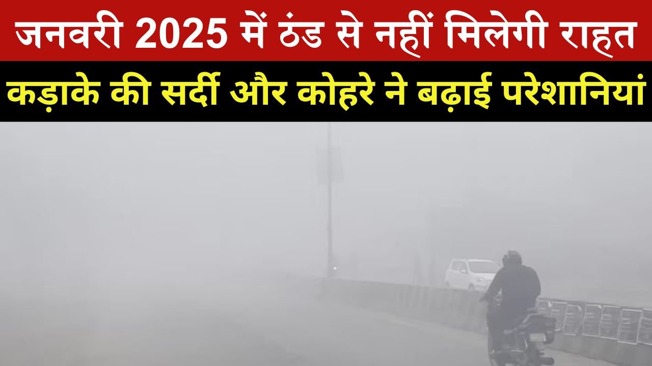 MP Weather: जनवरी 2025 में ठंड से नहीं मिलेगी राहत, कड़ाके की सर्दी और कोहरे ने बढ़ाई परेशानियां