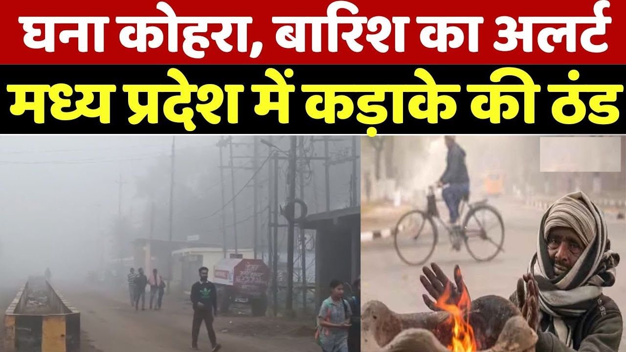 Mp Weather: MP के कई जिलों में सुबह से छाया कोहरा, 13 जनवरी से फिर लौटेगी कड़ाके की ठंड