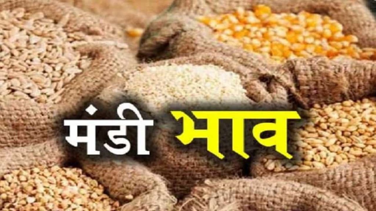 Mandi Bhav Today: मूंग और तुअर के दाम में जबरदस्त उछाल, देखे आज के ताजे रेट
