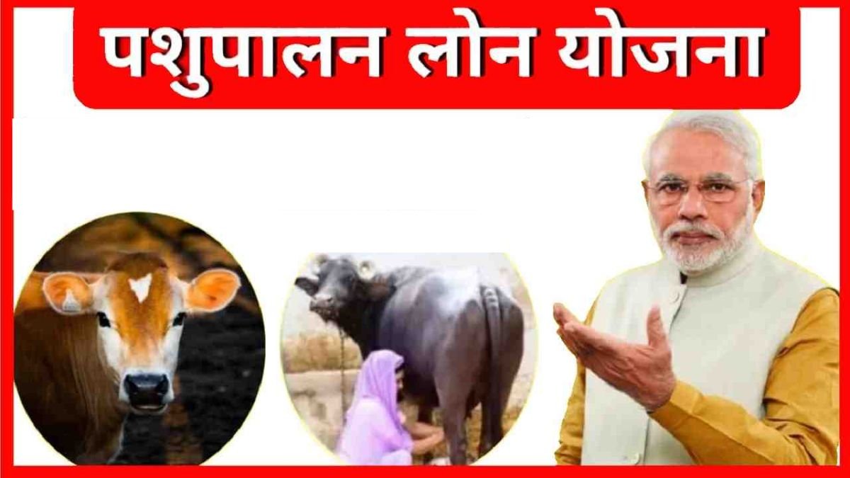 Pashupalan Loan Yojana: पशुपालन लोन योजना के रजिस्ट्रेशन शुरू, ऐसे करे आवेदन