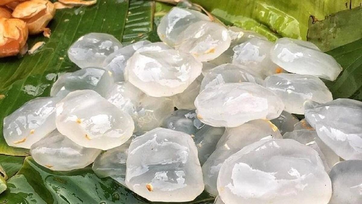 किसानो के लिए फायदे का सौदा है बर्फ सा दिखने वाला फल की खेती, कम समय में बन जायेंगे धन्ना सेठ, ऐसे करे खेती