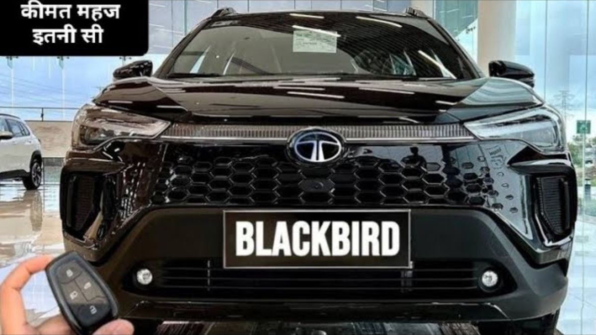 Creta का मार्केट ठंडा कर देंगी Tata की नई काली चिड़िया, दमदार इंजन के साथ लाजवाब फीचर्स, जाने कीमत